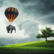 Billede af en elefant, der bliver fløjet over en eng af en luftballon. Blogindlæg med en øvelse til at blive fri til at lukke de positive forandringer ind i dit liv og samtidigt slippe dit "burde"-offer, der hænger fast i skyldfølelser.