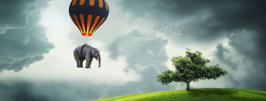 Billede af en elefant, der bliver fløjet over en eng af en luftballon. Blogindlæg med en øvelse til at blive fri til at lukke de positive forandringer ind i dit liv og samtidigt slippe dit "burde"-offer, der hænger fast i skyldfølelser.